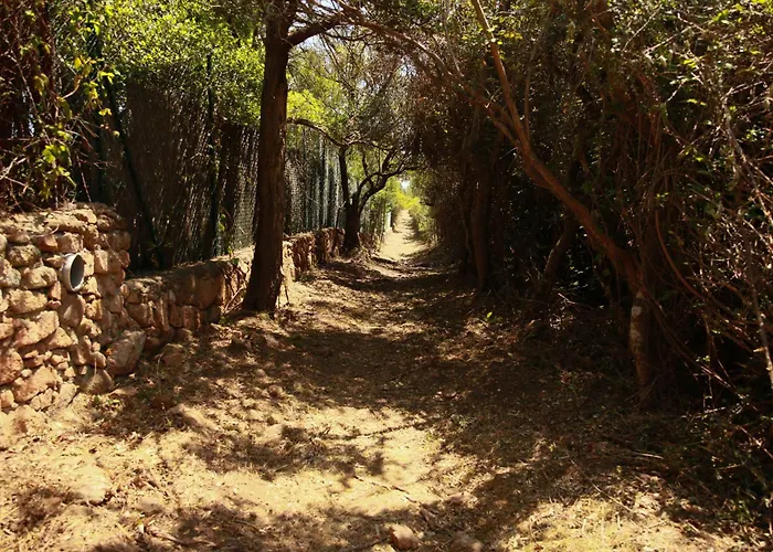 Le Berceau D'asciaghju Palombaggia - Acces Et Piscine Privee Porto-Vecchio (Corsica)