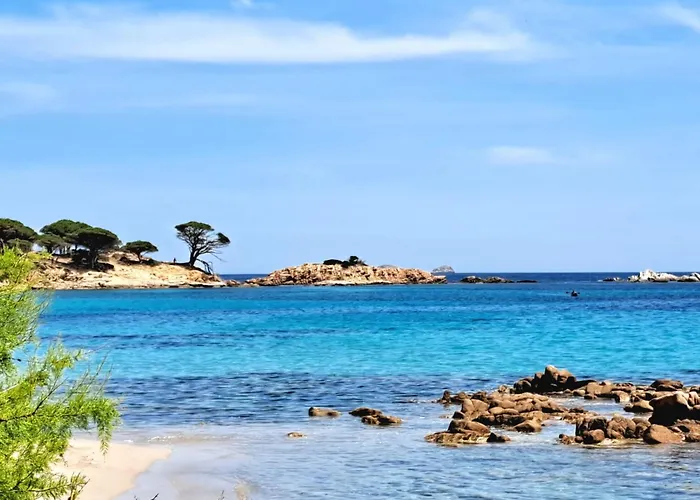 Daire Le Berceau D'asciaghju Palombaggia - Acces Et Piscine Privee *