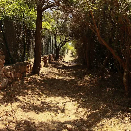 Le Berceau D'asciaghju Palombaggia - Acces Et Piscine Privee Porto-Vecchio (Corsica)