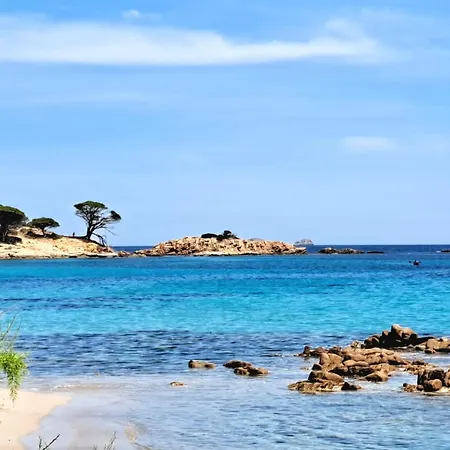 Апартаменти Le Berceau D'asciaghju Palombaggia - Acces Et Piscine Privee *